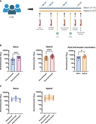 Neutralizing antibody and CD8+ T cell responses following BA.4/5 bivalent COVID-19 booster vaccination in adults with and without prior exposure to SARS-CoV-2